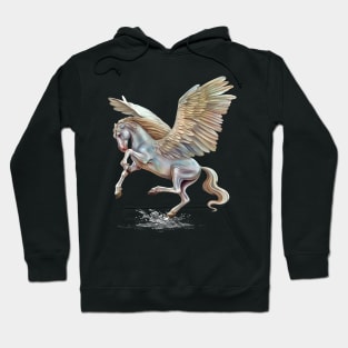 Pegasus Hoodie